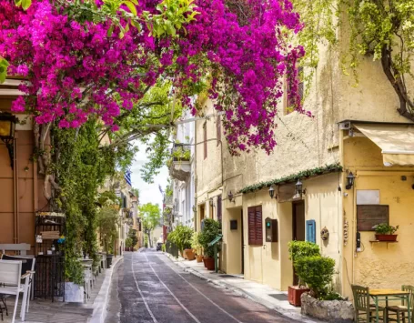 TRIPODON STREET